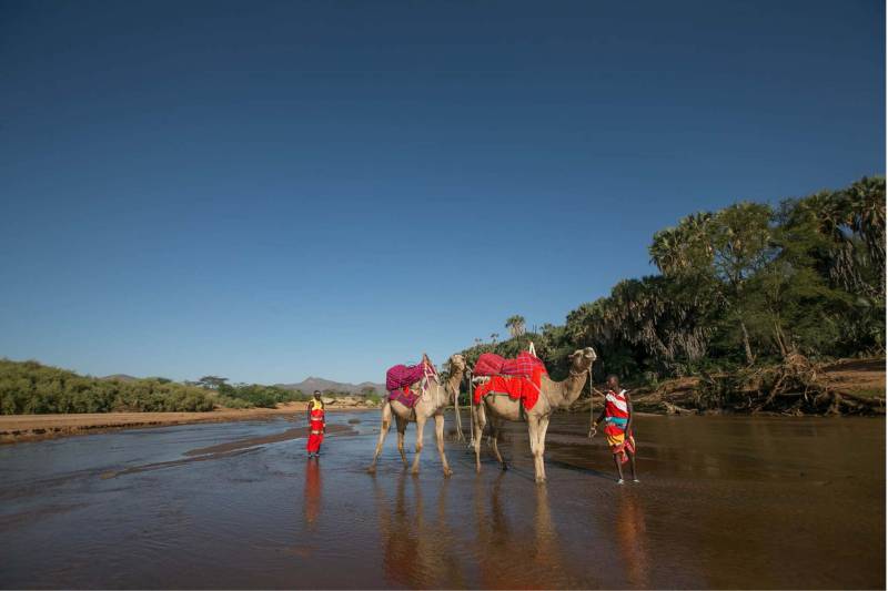 Sarova Shaba Game Lodge - Photo 11
