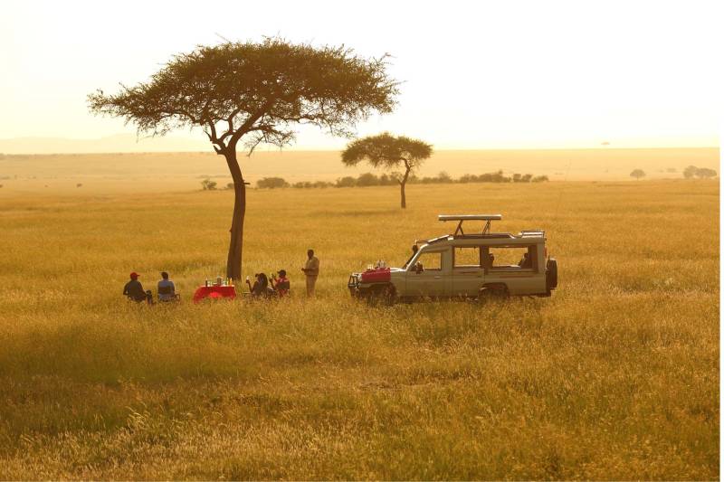 Sarova Mara Game Camp - Photo 15