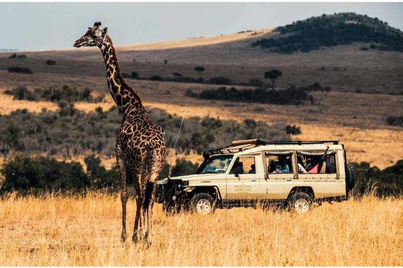 Sarova Mara Game Camp - Photo 4