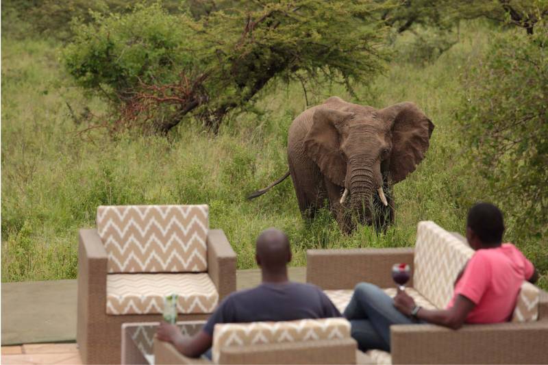 Spirit of the Masai Mara - Photo 4