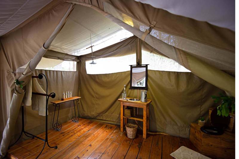 Main Naibor, Tent - image 2