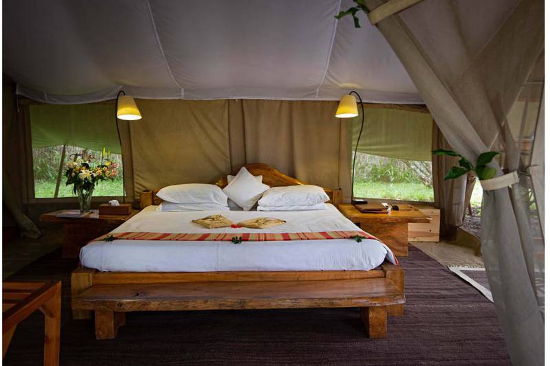 Main Naibor, Tent - image 3