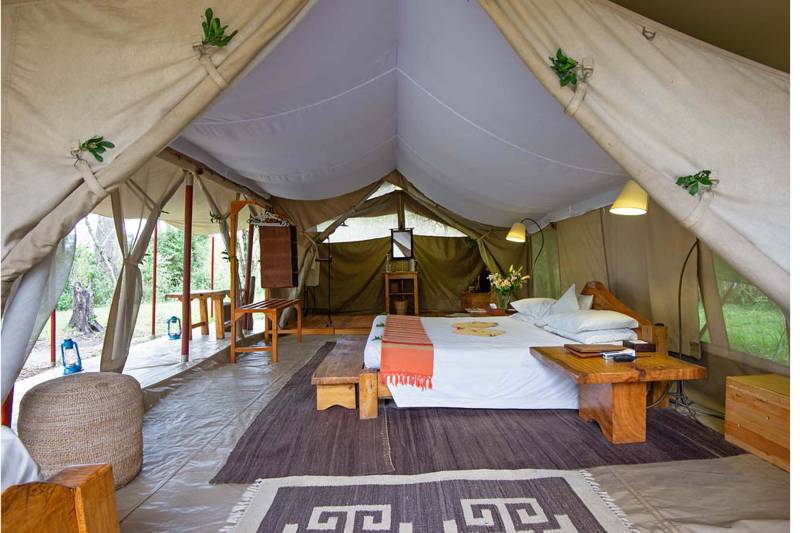 Main Naibor, Tent - image 1