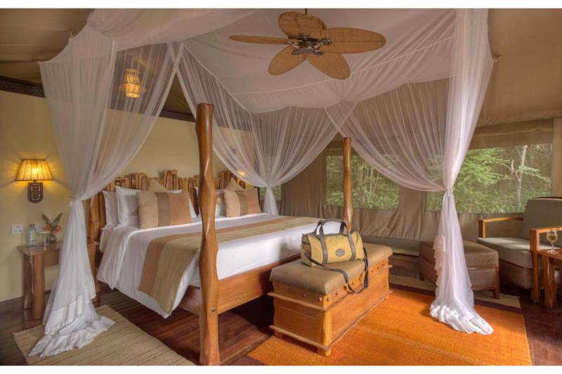 Sarova Mara Game Camp, Club Tent - image 2