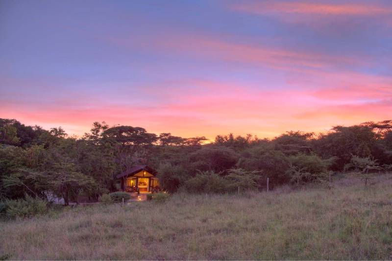 Sarova Mara Game Camp, Club Tent - image 1