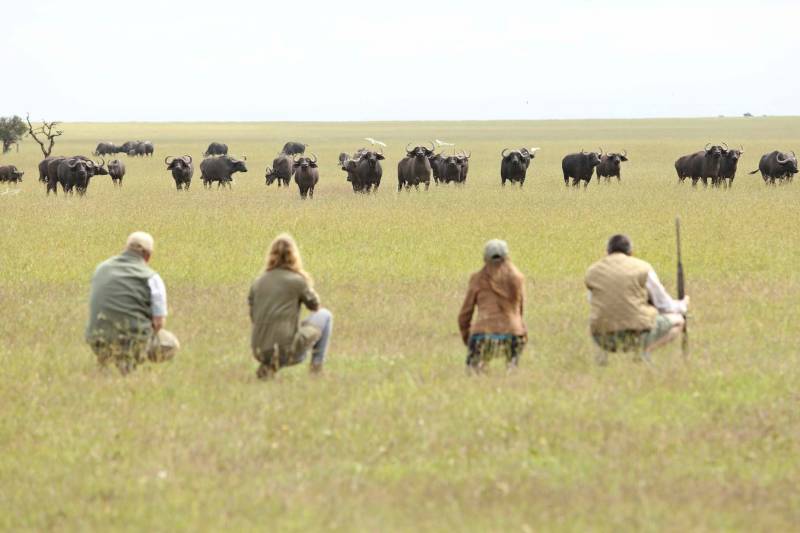 Asilia Ol Pejeta Bush Camp - Photo 11