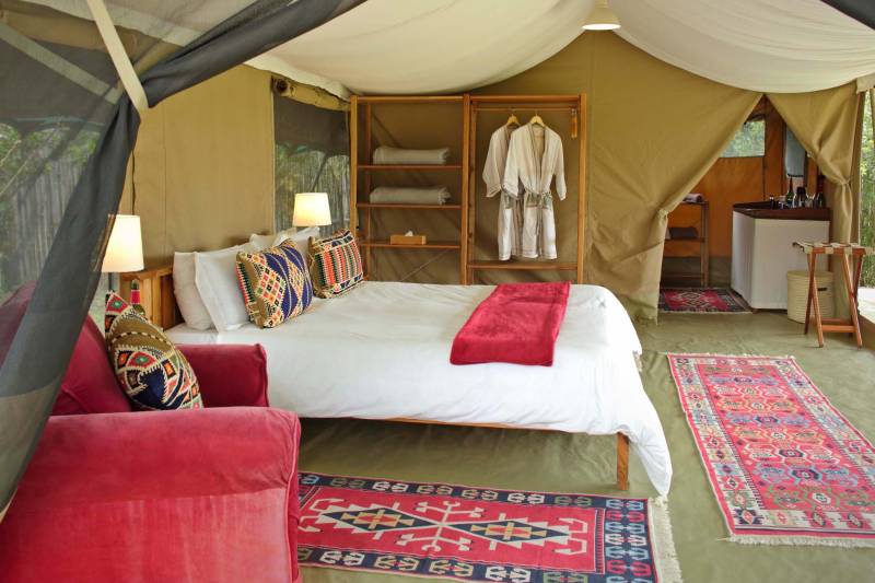 Asilia Ol Pejeta Bush Camp, Tented Suite - image 1