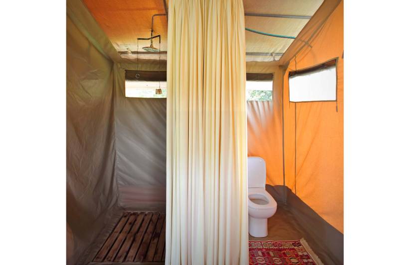 Asilia Ol Pejeta Bush Camp, Tented Suite - image 3